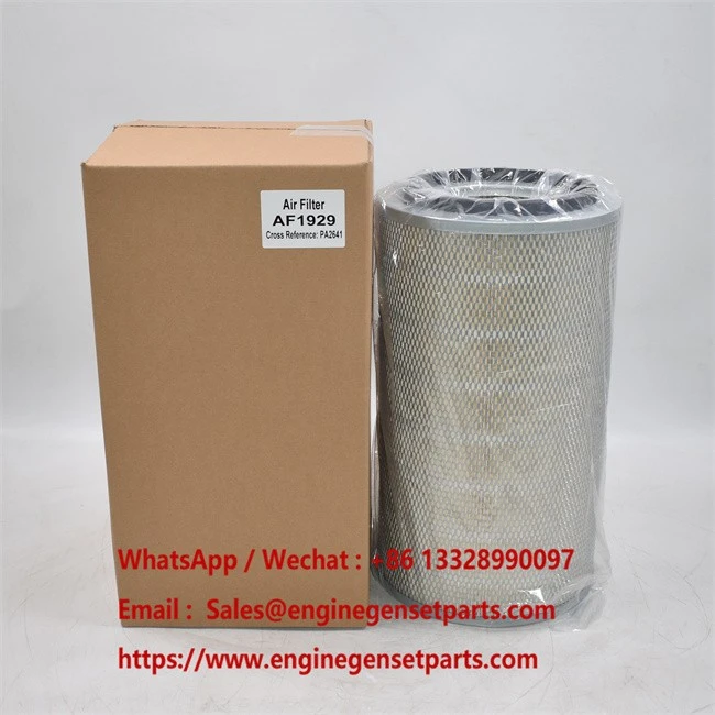 AF1929 PA2641 Air Filter