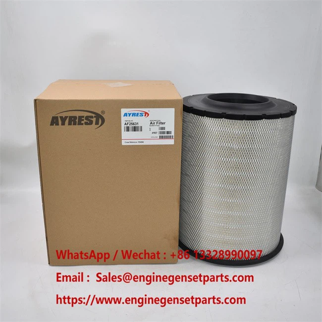 AF25631 Air Filter